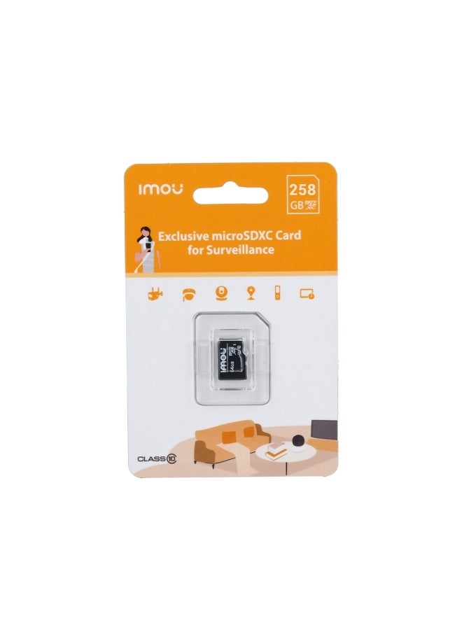 Imou 256GB Class 10 Micro SD Card - Image 1